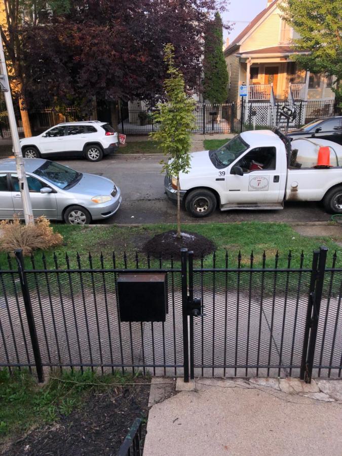 Logan Square Modern Apartment 芝加哥 外观 照片